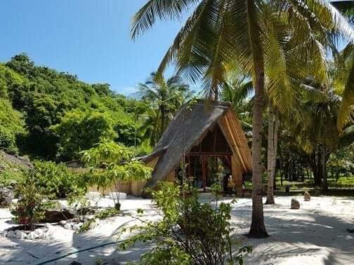 Eco Dive Resort Alycastre 毛梅雷 外观 照片
