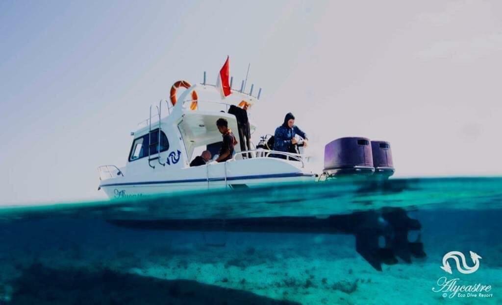 Eco Dive Resort Alycastre 毛梅雷 外观 照片