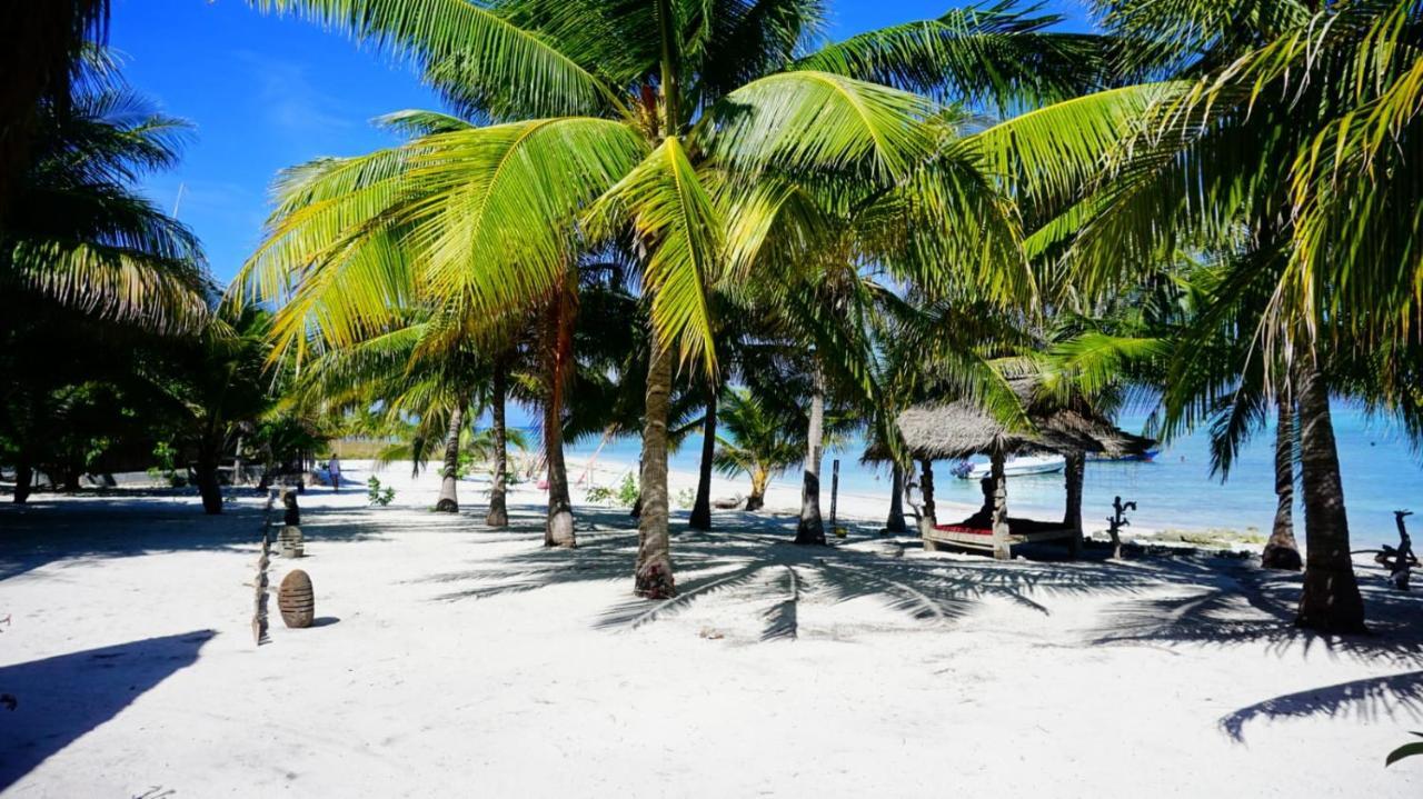 Eco Dive Resort Alycastre 毛梅雷 外观 照片